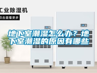 企業新聞地下室潮濕怎么辦？地下室潮濕的原因有哪些