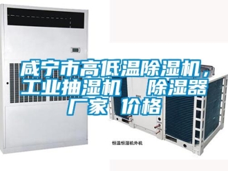 企業新聞咸寧市高低溫除濕機，工業抽濕機  除濕器廠家 價格
