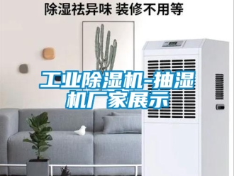 企業新聞工業除濕機-抽濕機廠家展示