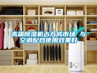 行業新聞高端除濕機占九成市場 與空調配合使用效果好
