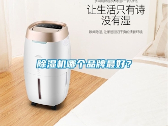 企業新聞除濕機哪個品牌最好？