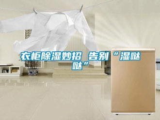 知識百科衣柜除濕妙招 告別“濕噠噠”