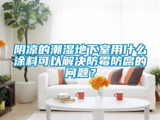 企業新聞陰涼的潮濕地下室用什么涂料可以解決防霉防腐的問題？