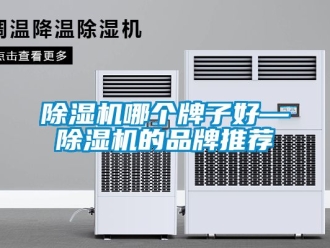 企業新聞除濕機哪個牌子好—除濕機的品牌推薦
