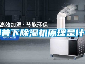 行業新聞科普下除濕機原理是什么