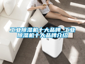 常見問題工業除濕機十大品牌_工業除濕機十大品牌介紹