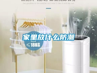 行業新聞家里放什么防潮