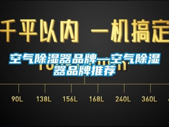 行業新聞空氣除濕器品牌—空氣除濕器品牌推薦