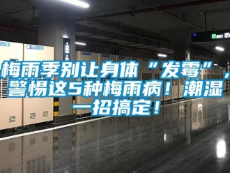 行業新聞梅雨季別讓身體“發霉”，警惕這5種梅雨??！潮濕一招搞定！
