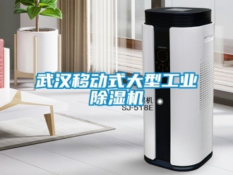 常見問題武漢移動式大型工業除濕機
