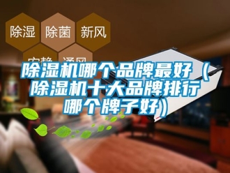 企業新聞除濕機哪個品牌最好（除濕機十大品牌排行哪個牌子好）