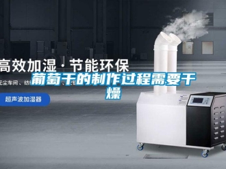 行業新聞葡萄干的制作過程需要干燥