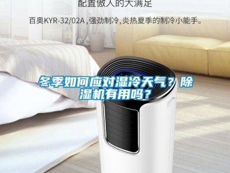 常見問題冬季如何應對濕冷天氣？除濕機有用嗎？