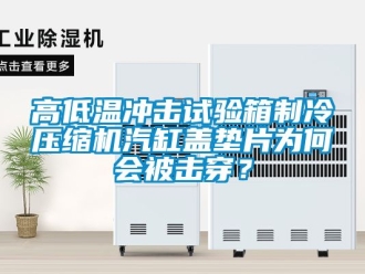 常見問題高低溫沖擊試驗箱制冷壓縮機汽缸蓋墊片為何會被擊穿？