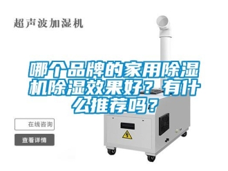 企業新聞哪個品牌的家用除濕機除濕效果好？有什么推薦嗎？