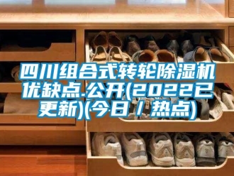 常見問題四川組合式轉輪除濕機優缺點.公開(2022已更新)(今日／熱點)