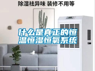 知識百科什么是真正的恒溫恒濕恒氧系統
