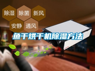 行業新聞魚干烘干機除濕方法
