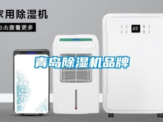 企業新聞青島除濕機品牌