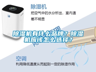 企業新聞除濕機有什么品牌？除濕機應該怎么選擇？