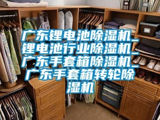 常見問題廣東鋰電池除濕機_鋰電池行業除濕機_廣東手套箱除濕機_廣東手套箱轉輪除濕機