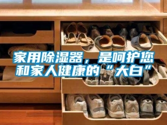 行業新聞家用除濕器，是呵護您和家人健康的“大白”