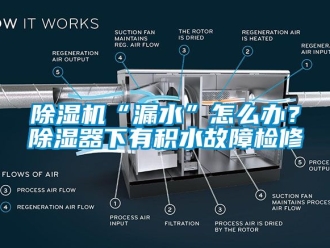 企業新聞除濕機“漏水”怎么辦？除濕器下有積水故障檢修