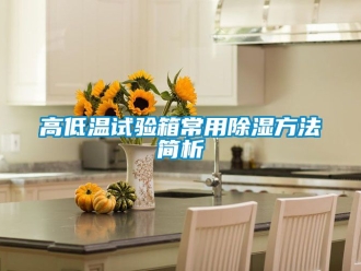 常見問題高低溫試驗箱常用除濕方法簡析