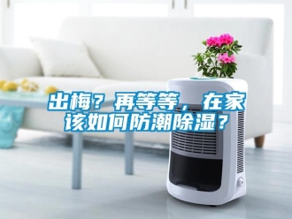 常見問題出梅？再等等，在家該如何防潮除濕？