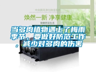 企業新聞當多肉植物遇上了梅雨季節，要做好防范工作，減少對多肉的傷害