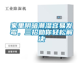 行業新聞家里陰暗潮濕容易發霉，三招助你輕松解決