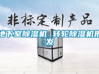常見問題地下室除濕機 轉輪除濕機批發