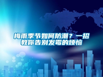 常見問題梅雨季節如何防潮？一招教你告別發霉的煩惱