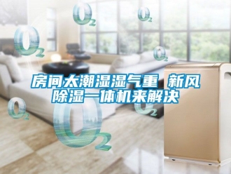 常見問題房間太潮濕濕氣重 新風除濕一體機來解決