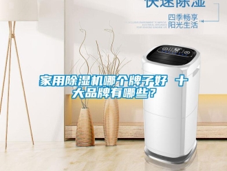 企業新聞家用除濕機哪個牌子好 十大品牌有哪些？