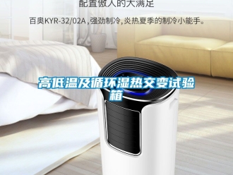 常見問題高低溫及循環濕熱交變試驗箱