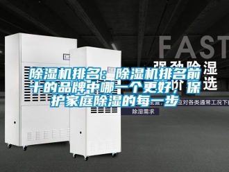 企業新聞除濕機排名：除濕機排名前十的品牌中哪一個更好，保護家庭除濕的每一步