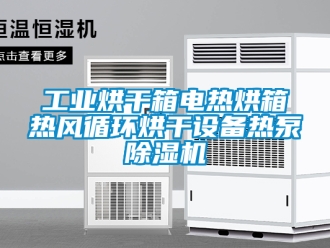 常見問題工業烘干箱電熱烘箱熱風循環烘干設備熱泵除濕機