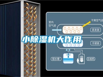 知識百科小除濕機大作用