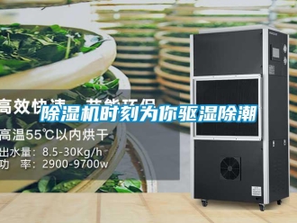 企業新聞除濕機時刻為你驅濕除潮