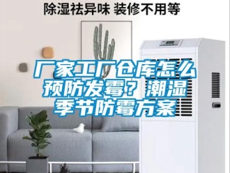 企業新聞廠家工廠倉庫怎么預防發霉？潮濕季節防霉方案