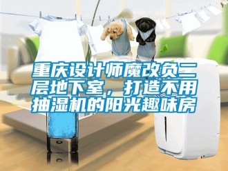 企業新聞重慶設計師魔改負二層地下室，打造不用抽濕機的陽光趣味房