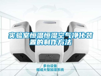 知識百科實驗室恒溫恒濕空氣凈化裝置的制作方法