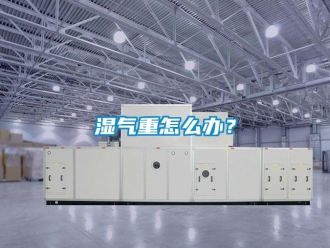 常見問題濕氣重怎么辦？