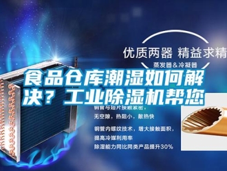常見問題食品倉庫潮濕如何解決？工業除濕機幫您