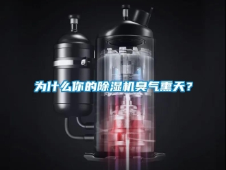 知識百科為什么你的除濕機臭氣熏天？