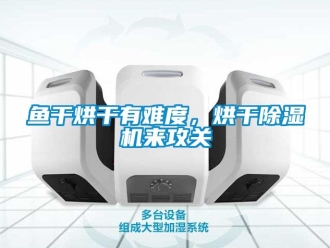 行業新聞魚干烘干有難度，烘干除濕機來攻關