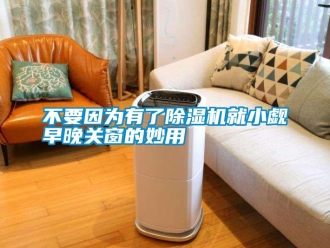 企業新聞不要因為有了除濕機就小覷早晚關窗的妙用