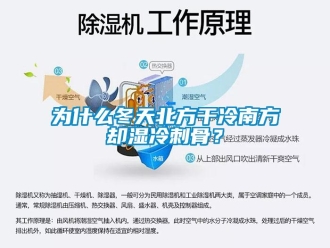 知識百科為什么冬天北方干冷南方卻濕冷刺骨？