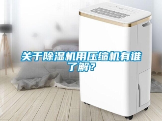 企業新聞關于除濕機用壓縮機有誰了解？
